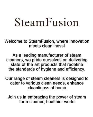 Pressurized Handheld Steam Cleaner with 10pcs Accessories and Safety Lock, Multi-Purpose Natural Steamer for Cleaning
