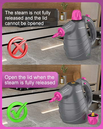 Pressurized Handheld Steam Cleaner with 10pcs Accessories and Safety Lock, Multi-Purpose Natural Steamer for Cleaning
